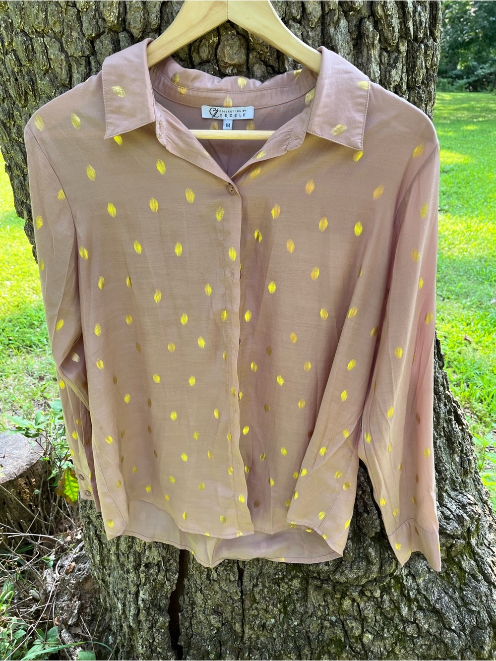 ⭐️Cezele Collection Blouse in size M
